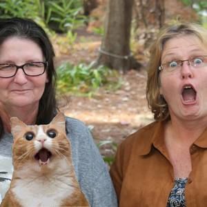 Meet your Posher, Monica